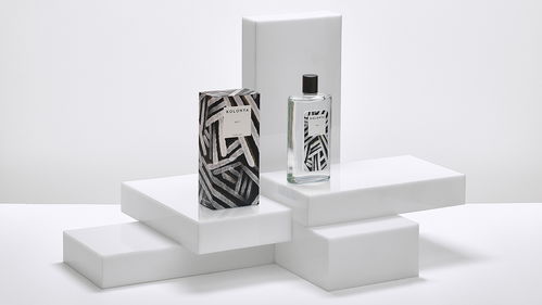 創(chuàng)意視覺交響曲 包裝、插畫、標(biāo)志與網(wǎng)站的融合之美